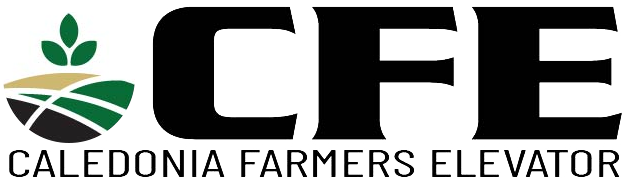 CFE logo_edited.png